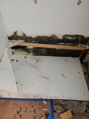 Mold Damage - Having a problem with your home or business? Our team of skilled restoration technicians have you covered. We are your water, mold, and fire specialists!
Mold Damage
The remediation process of all mold damages. Our technicians understand the severity of mold and they will provide a service of health and wellbeing for you and your family. Mold Damage - Having a problem with your home or business? Our team of skilled restoration technicians have you covered. We are your water, mold, and fire specialists!
Mold Damage
The remediation process of all mold damages. Our technicians understand the severity of mold and they will provide a service of health and wellbeing for you and your family.