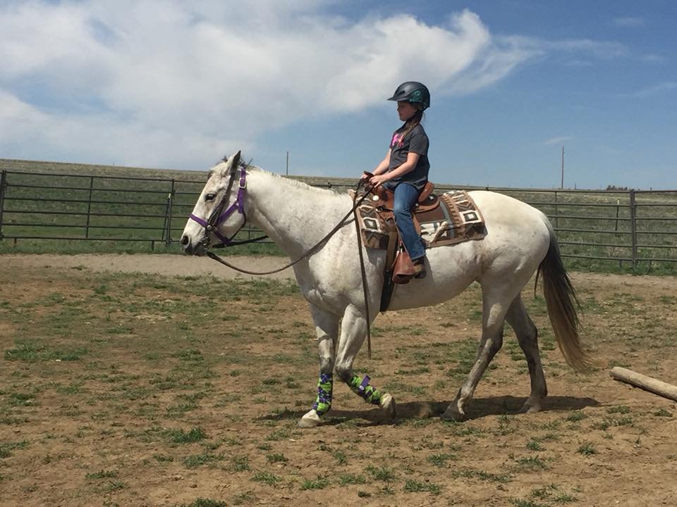 McCord Training - equestrian in Molt, MT