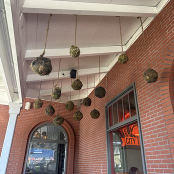 City Tacos - Tacos Near Me - Encinitas, California City Tacos - Tacos Near Me - Encinitas, California