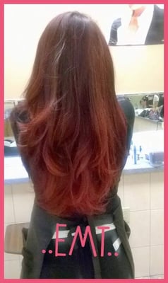 Cannella School of Hair Design by null