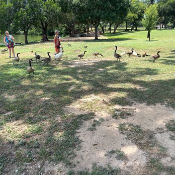 Johnson Park - Parks Near Me - Marble Falls, Texas
