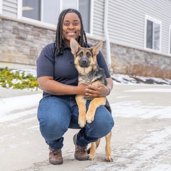 Lorenzo's Dog Training Team - Pet Training Near Me