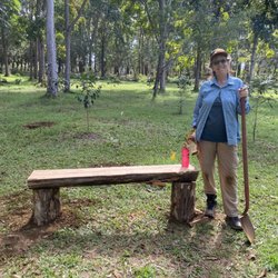 Kauai forest therapy - We've made a few lovely places to sit and breathe all the clean oxygen made from our trees