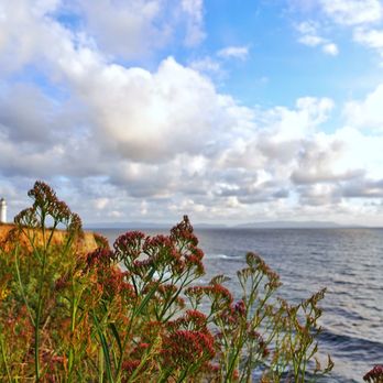 Point Vicente Lighthouse - Landmarks & Historical Buildings Near Me - Rancho Palos Verdes, California