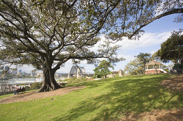 Observatory Hill Park by null