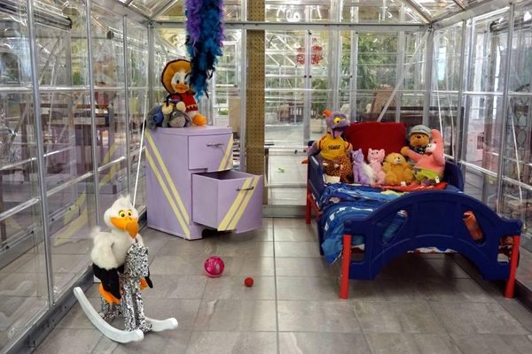 The Cat's Meow by null