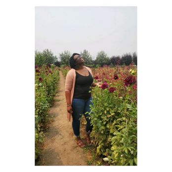 Michael David Winery - Dahlias and I. - Wine Tasting Room Near Me - Lodi, California