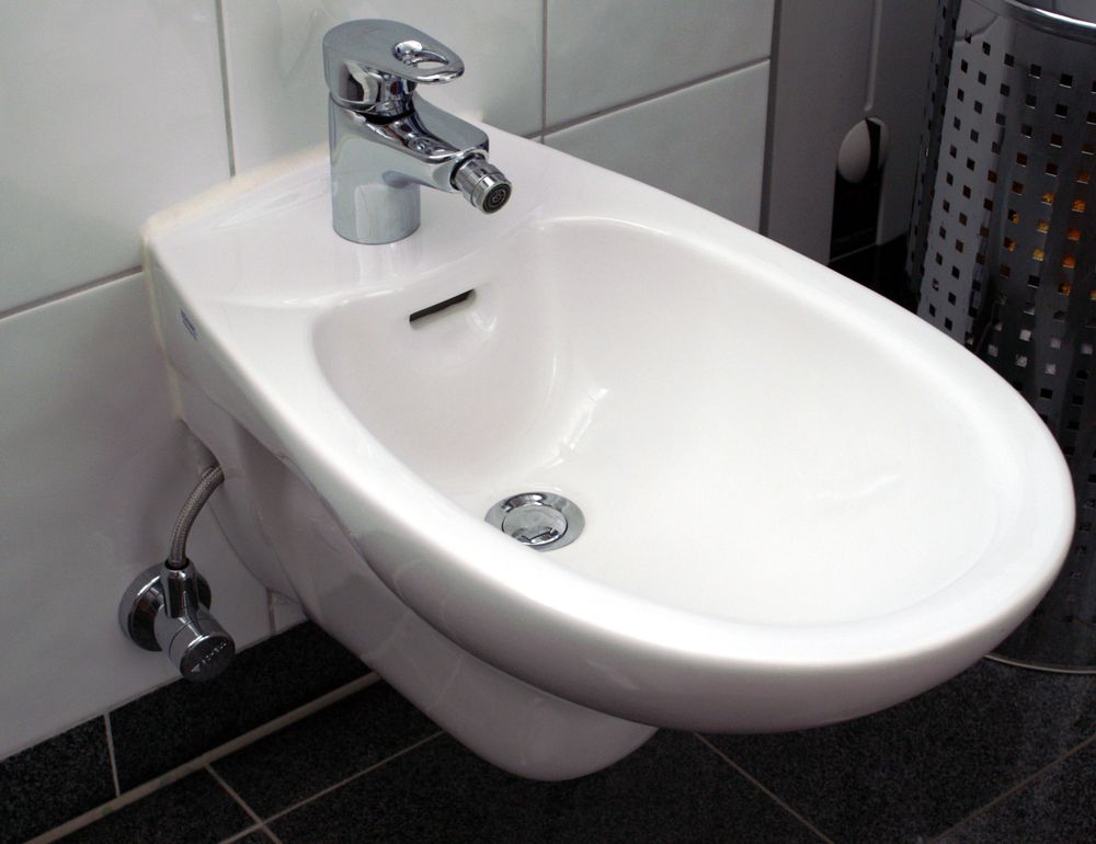 Slide of Totally Toilets