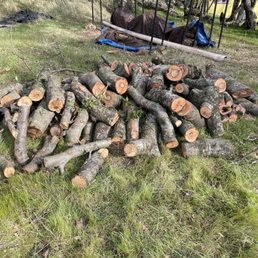 Some of the wood cut Some of the wood cut
