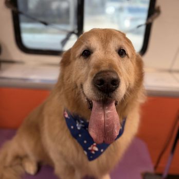 Vanity Fur Eastvale - Pet Groomers Near Me Vanity Fur Eastvale - Pet Groomers Near Me