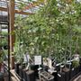 Photo of Rehm's Nursery and Garden Center