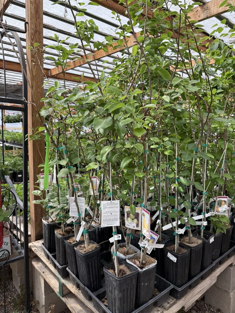 Rehm's Nursery and Garden Center