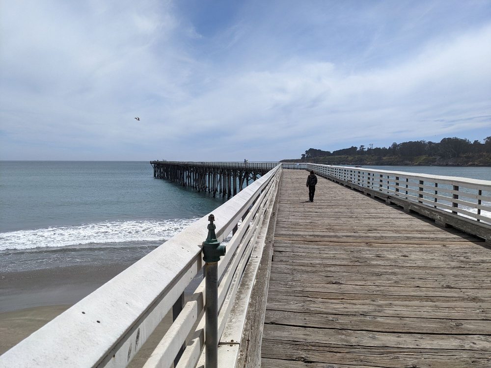 SAN SIMEON STATE BEACH 172 Photos & 29 Reviews San Simeon, CA Yelp