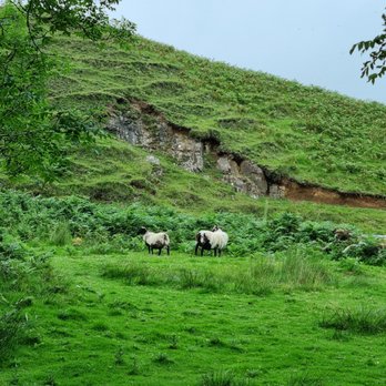 Fairy Glen - Landmarks & Historical Buildings Near Me