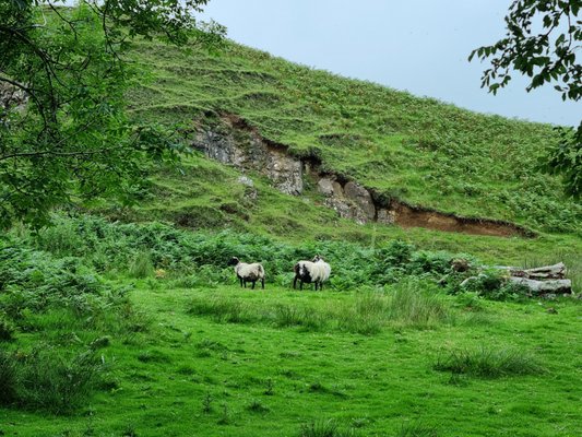 The Fairy Glen by null