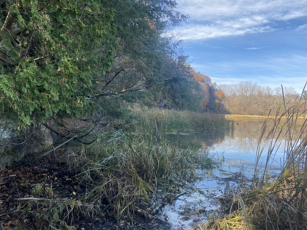 ARTHUR PARK Opposite Burlington High School, Burlington, Vermont