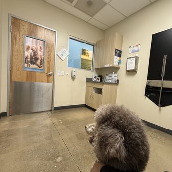 Vetco Total Care - Veterinarians Near Me - San Antonio, Texas Vetco Total Care - Veterinarians Near Me - San Antonio, Texas