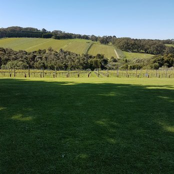 Tucks Wine - Pretty - Wineries Near Me - Red Hill South, VIC