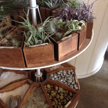 Pigment - Build your own globe terrarium - Home Decor Near Me - San Diego, California