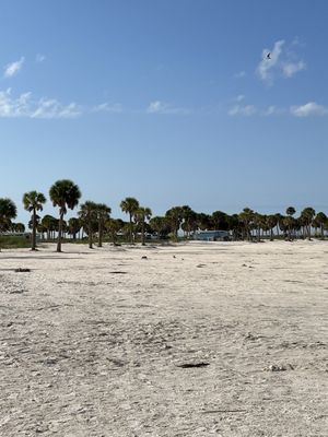 Fred Howard Park by null