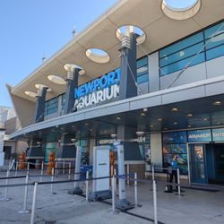 Newport Aquarium - Entrance