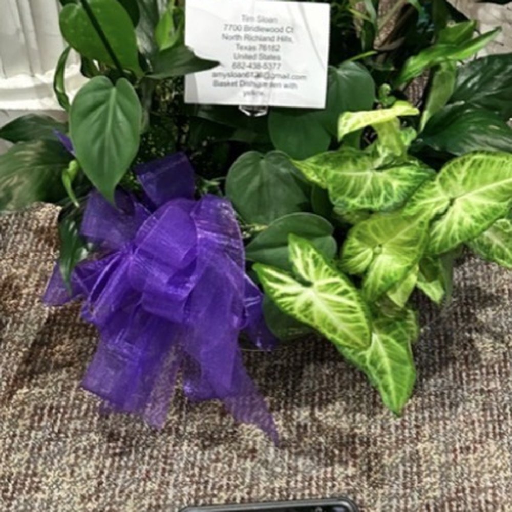 Blossoms On The Square - Florists Near Me - Alvarado, Texas