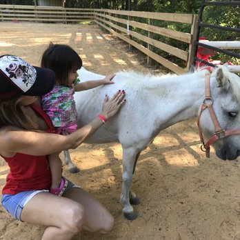 Yogi Bear's Jellystone Park - Petting zoo offers pony rides - Campgrounds Near Me - Hayes, Virginia Yogi Bear's Jellystone Park - Petting zoo offers pony rides - Campgrounds Near Me - Hayes, Virginia