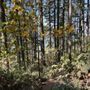 Photo of Poo Poo Point - Chirico Trail
