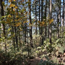 Poo Poo Point - Chirico Trail - Lovely