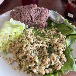 Larb Kai, sticky rice.