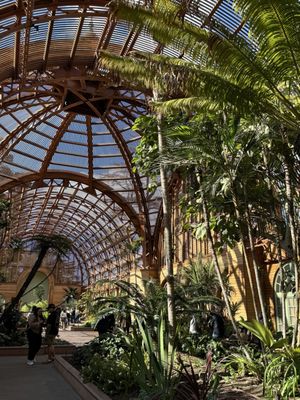 Botanical Building by null