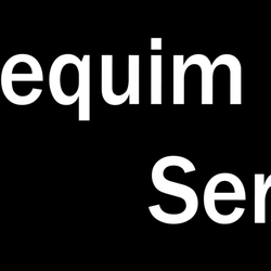 Sequim computer services