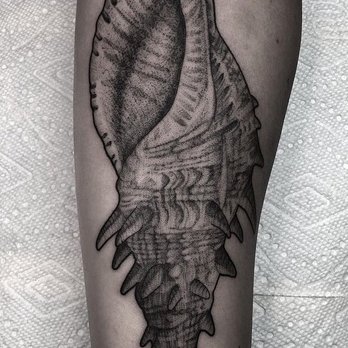 Full Circle Tattoo - Fresh conch. - Tattoo Near Me - San Diego, California Full Circle Tattoo - Fresh conch. - Tattoo Near Me - San Diego, California