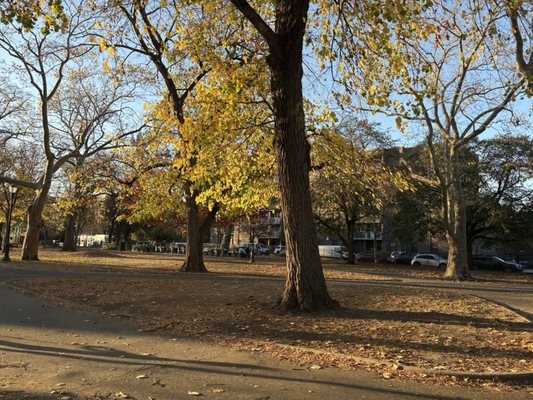 Herbert Von King Park by null