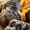 Dolci Momenti Bakery & Cafe gift card