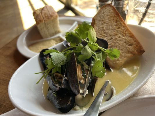 Paesanos 1604 by null