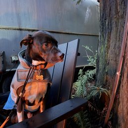 You can see how close the other airstream is. This was our sitting area. You can see how close the other airstream is. This was our sitting area.