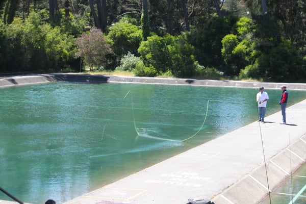 The Golden Gate Angling & Casting Club by null