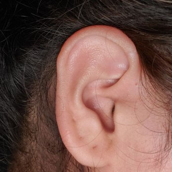 Lark Tattoo - Same ear after it healed - Tattoo Near Me - Westbury, New York Lark Tattoo - Same ear after it healed - Tattoo Near Me - Westbury, New York