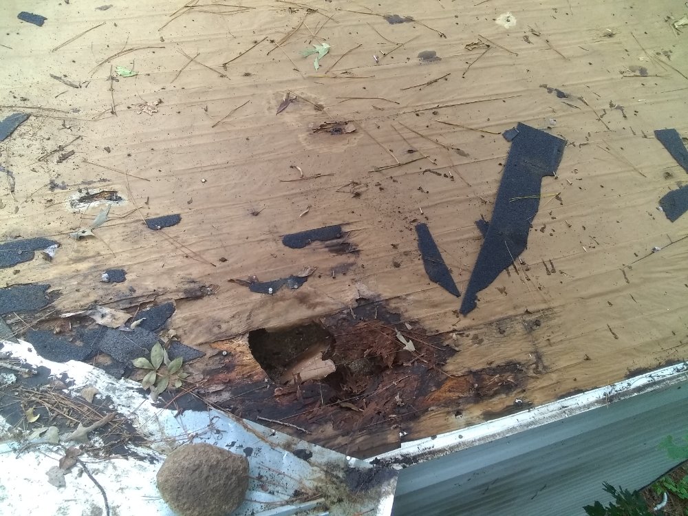 Slide of MV Roofing And Tree Services