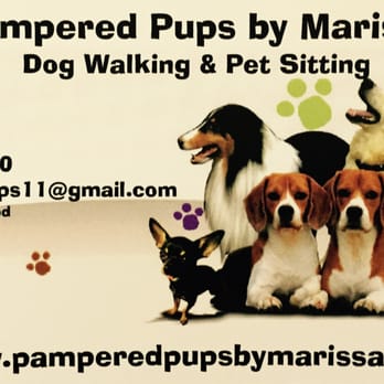 Pampered Pups By Marissa - Dog Walkers Near Me - Lansdale, Pennsylvania Pampered Pups By Marissa - Dog Walkers Near Me - Lansdale, Pennsylvania