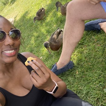 Zaanse Schans - Feed the ducks and enjoying the shade. - Parks Near Me - Zaandam, New Hampshire