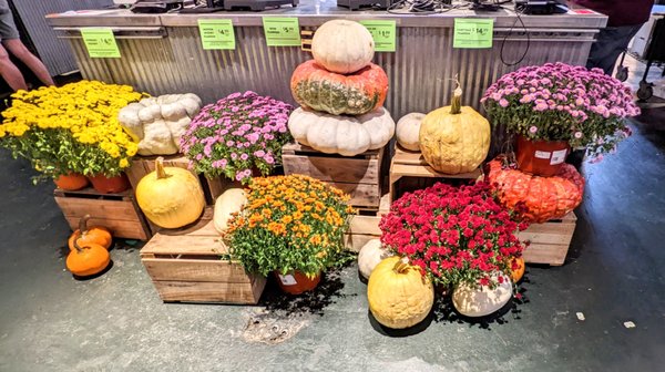 Iovine Brothers Produce by null