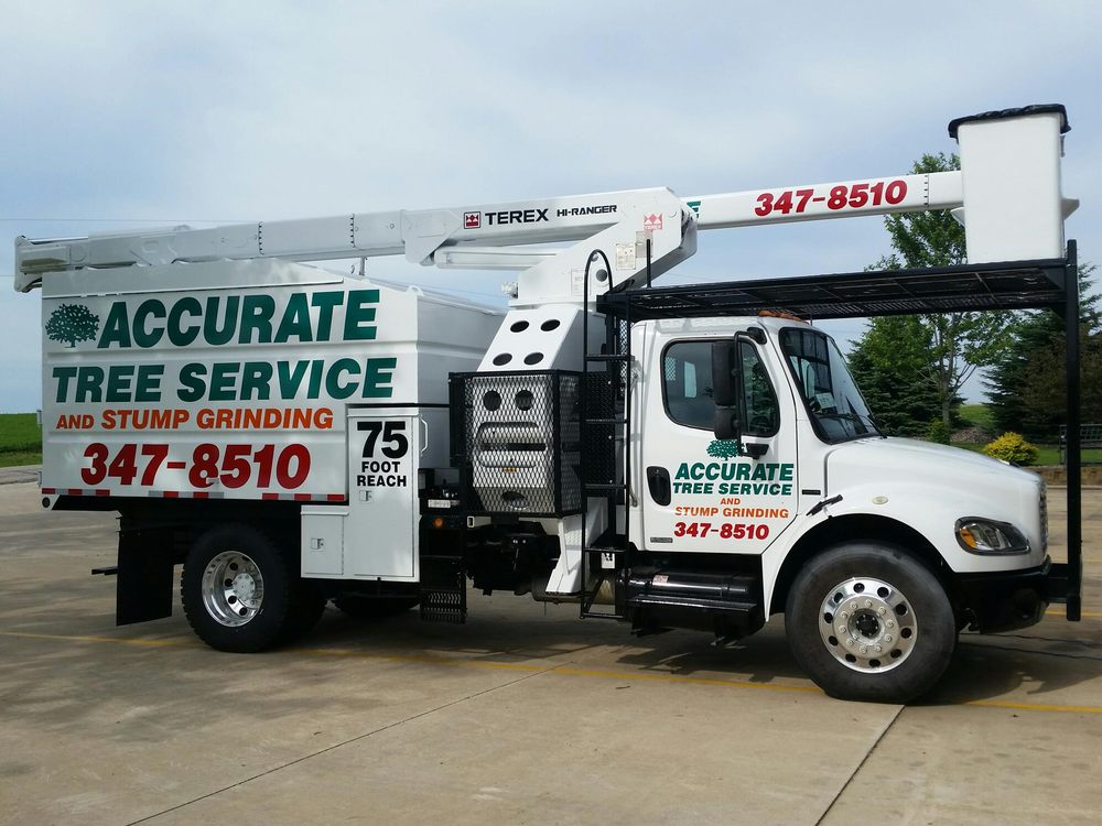 Accurate Tree Service - tree service in Verona, WI
