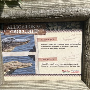 St. Augustine Alligator Farm Zoological Park - The more you know! - Zoos Near Me - Saint Augustine, Florida St. Augustine Alligator Farm Zoological Park - The more you know! - Zoos Near Me - Saint Augustine, Florida