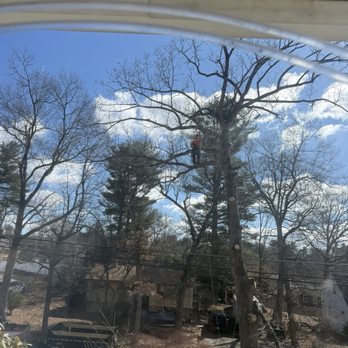 NXT Landscaping - Landscaping Near Me