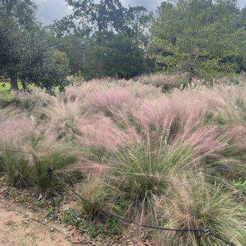 McGovern Centennial Gardens - Parks Near Me - Houston, Texas McGovern Centennial Gardens - Parks Near Me - Houston, Texas
