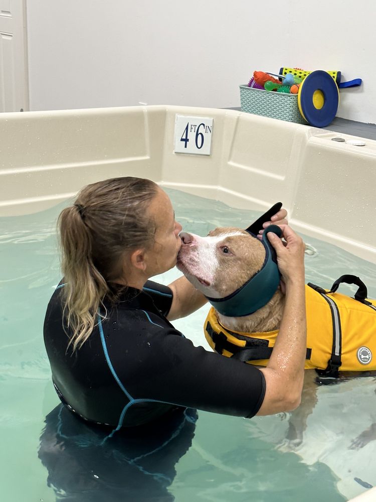 UNLEASHED DOG DAYCARE & WELLNESS CENTER Updated August 2024 14