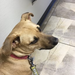 Waiting for my nail trimming.