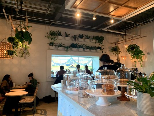 Cloche Coffee by null